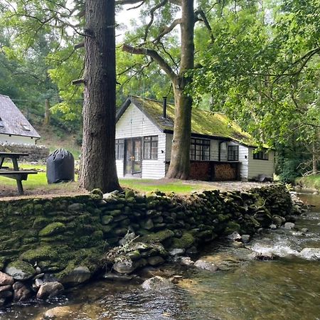Cuckoo Cabin, Tyn Y Cwm Eglwys-Fach Екстериор снимка